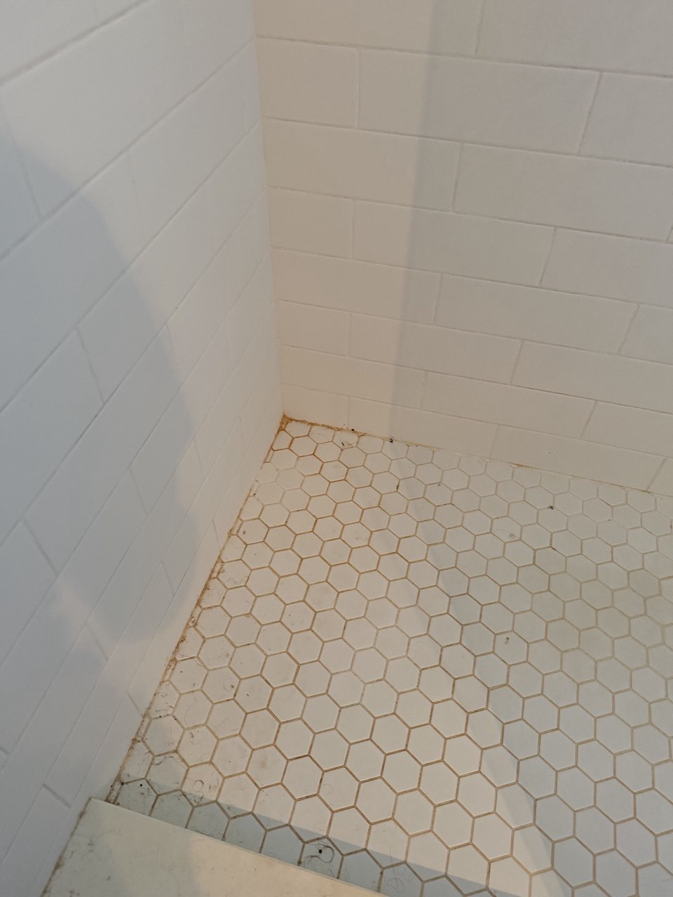 Shower corner before cleaning, with grime and brown staining in the floor tile grout and along the wall edge